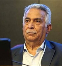 Vice Chairman of the Board of Directors